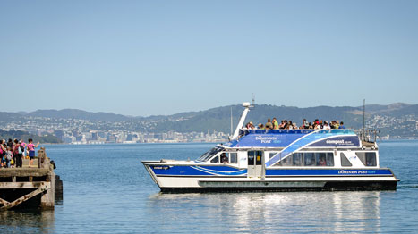 boat cruise wellington